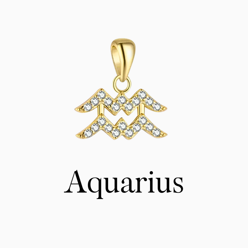 Zodiac Charms