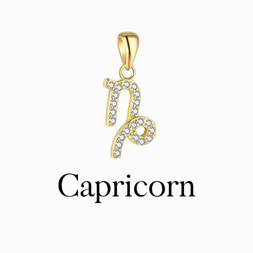Zodiac Charms