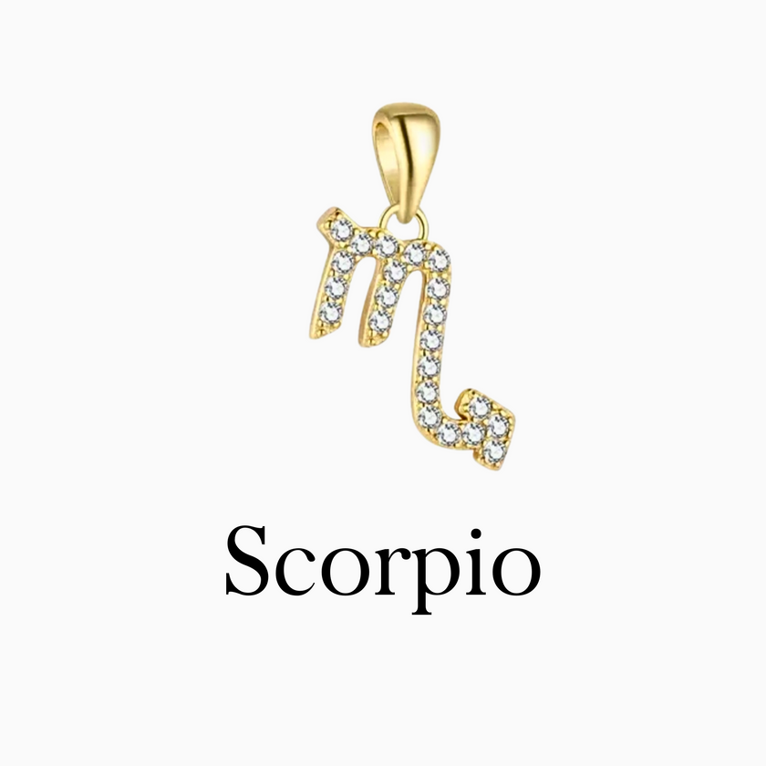 Zodiac Charms