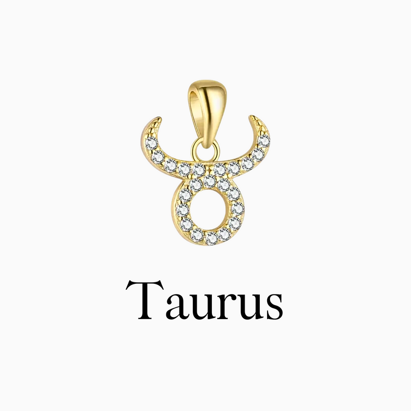 Zodiac Charms