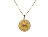Zodiac Medallion Necklace