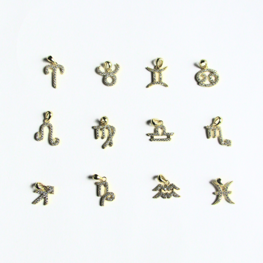 Zodiac Charms