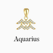 Zodiac Charms