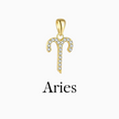 Zodiac Charms