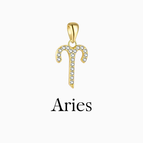 Zodiac Charms