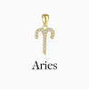 Zodiac Charms