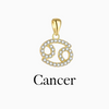Zodiac Charms
