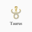 Zodiac Charms