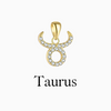 Zodiac Charms
