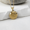 Circular Initial Necklace with Diamond