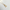 Initial Rectangle Shell Necklace