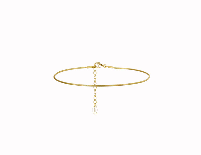 Snake Chain Anklet