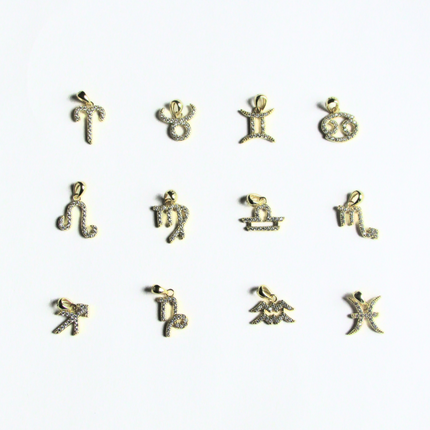 Zodiac Charms